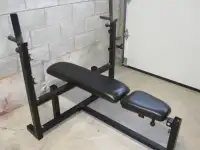 Olympic Bench with Dips and Squats gym weights exercise