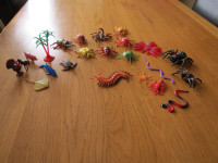 A selection of large arachnids - spiders, scorpions