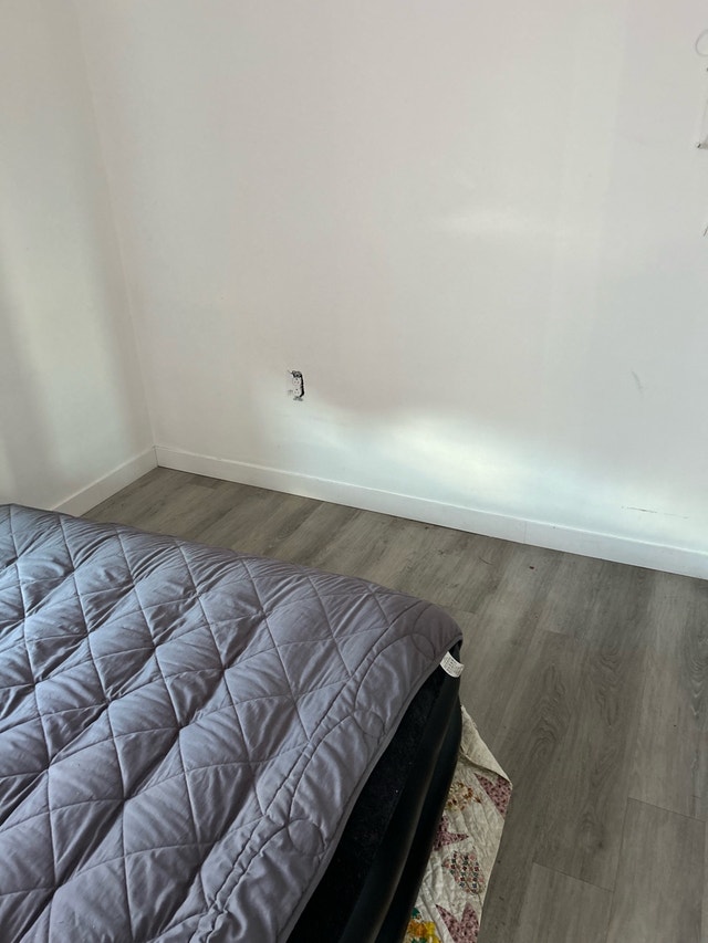 442 Rue Notre Dame — photo 3