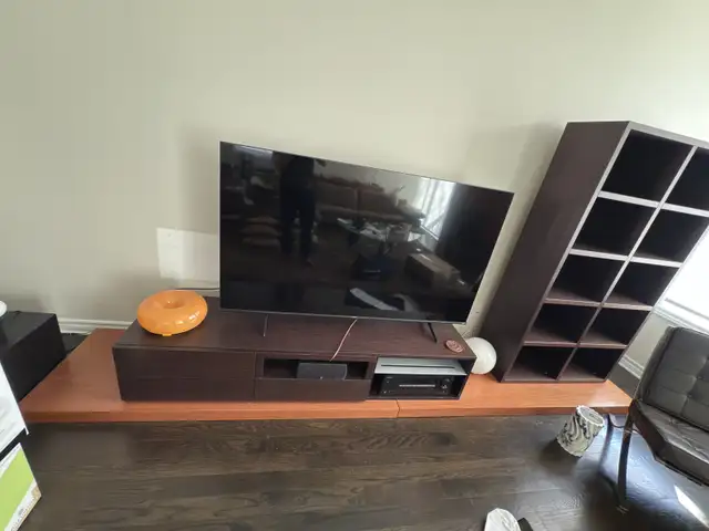 Designer Living Room Entertainment Unit & Bookcase in Bookcases & Shelving Units in Ottawa - Image 2