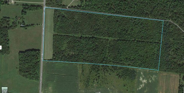 Terre agricole et forestière 50 acres dans Terrains à vendre  à Ville de Montréal