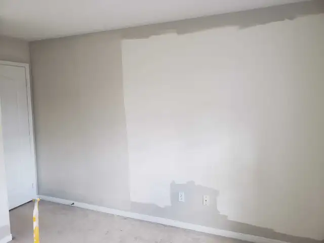 PAINTER AVAILABLE 529384767153121286