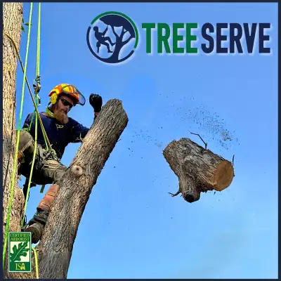 Calgary Tree Pruning and Removal  | Free Quotes, View more