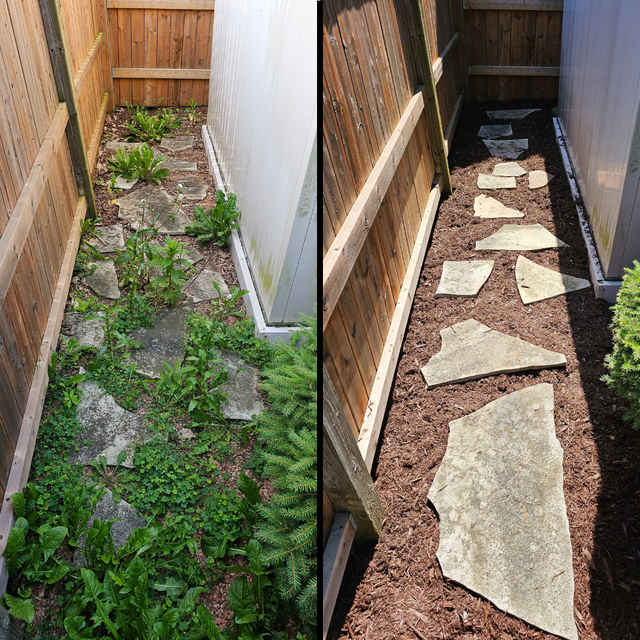 Fall Cleanup - Landscaping - Gardening in Haldimand & Niagara in Lawn, Tree Maintenance & Eavestrough in Hamilton - Image 10