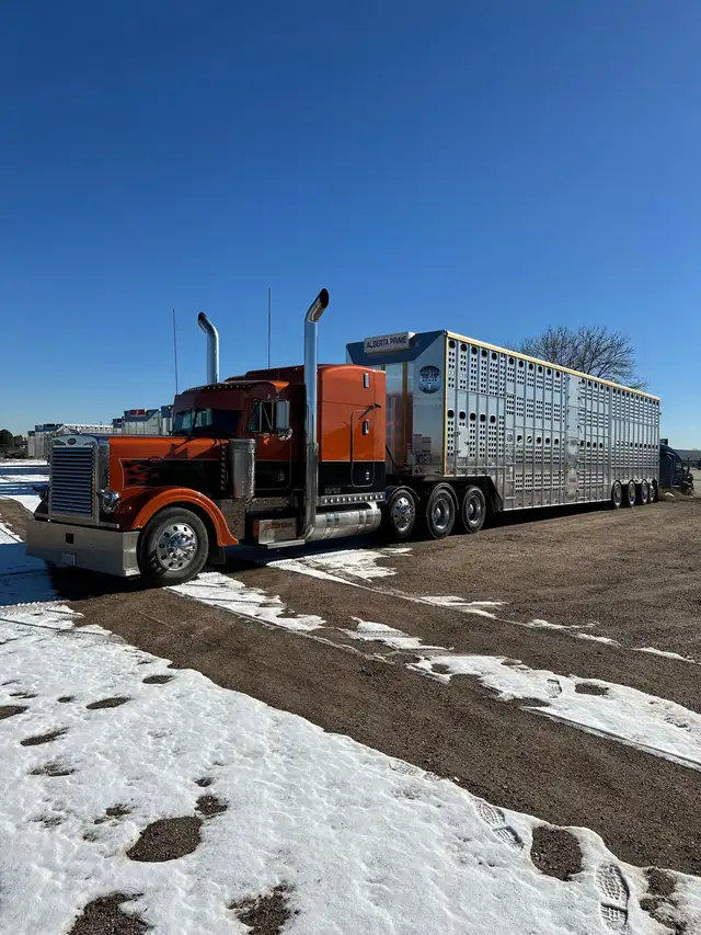 Livestock Company Dispatcher Wanted in Other in Lethbridge - Image 6