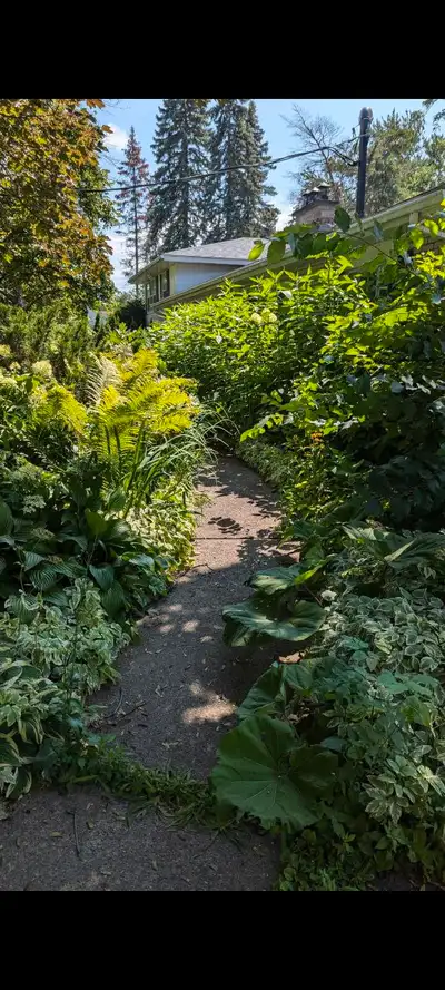 Spring Yard Work & Odd Jobs! ️ Tired of looking at that to-do list? Let me help! ✔️ Lawn & garden cl...