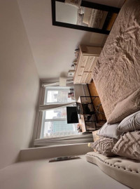 looking for roommate downtown mtl !