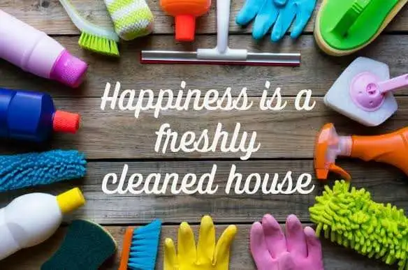 Experienced House Cleaner Available for Ottawa Area