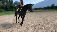 Summer Horseback Riding Camp