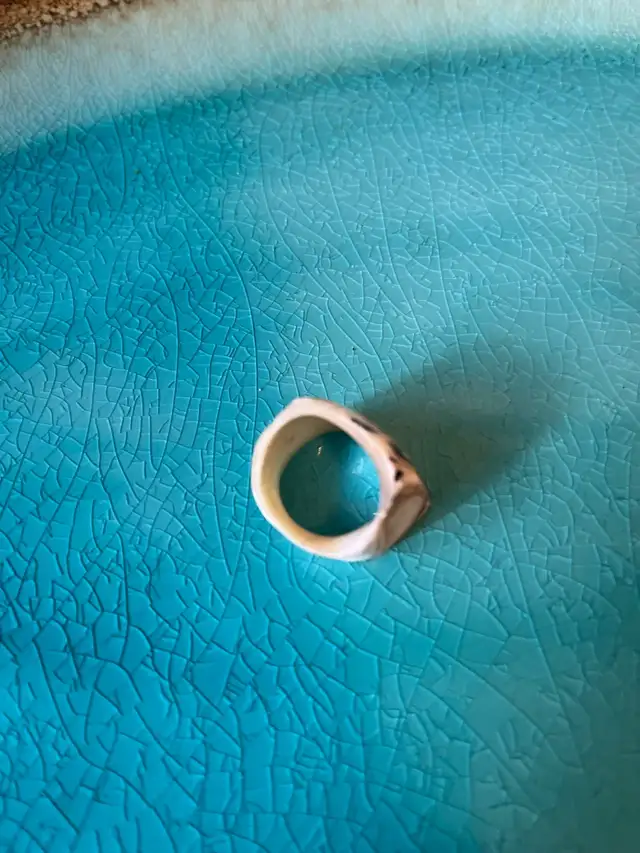 Unique shell ring63660926973059123