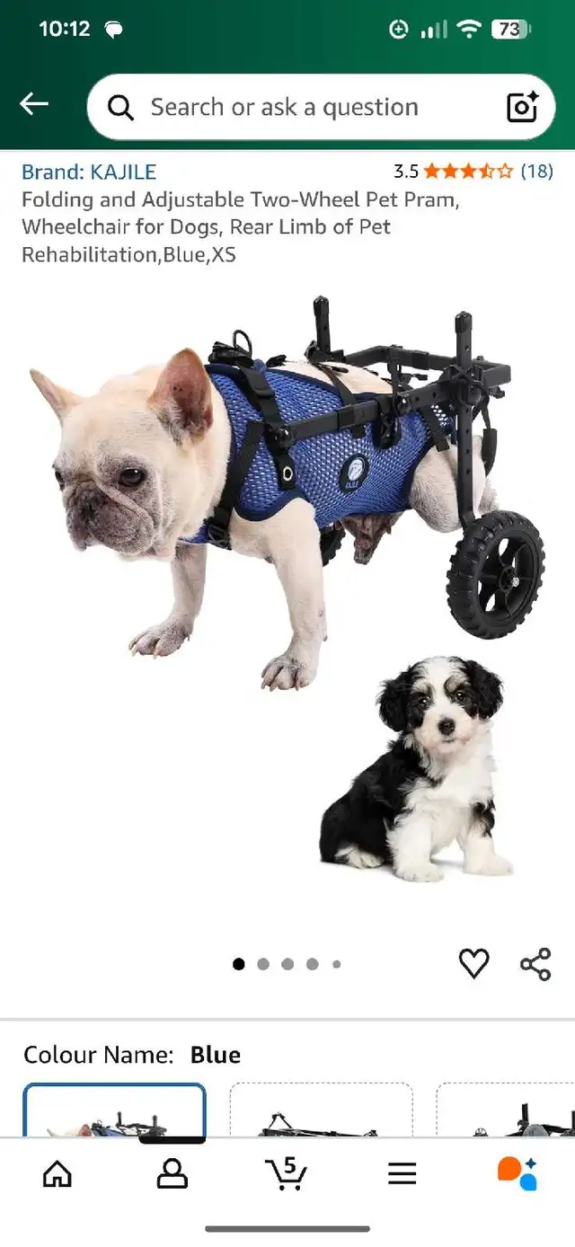 dog wheelchair in Animal & Pet Services in Edmonton - Image 2