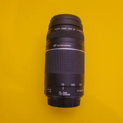 Canon EF-S 75-300mm Lens, View more