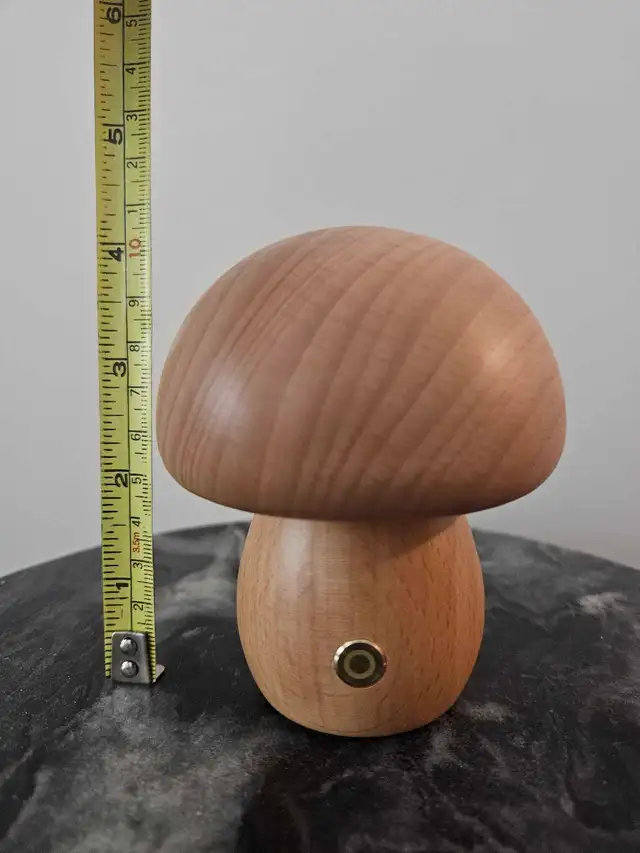 Decorative Cordless Mushroom Lamp in Indoor Lighting & Fans in Oakville / Halton Region - Image 5