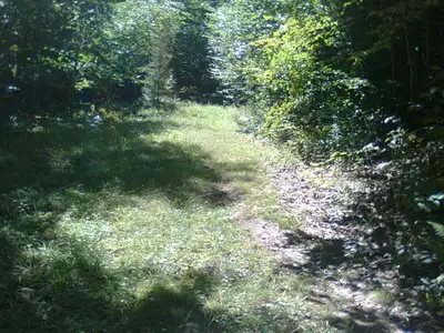 Over 55 acres of land. Off grid land for rent, maybe a rent to own deal, private. Own an rv, camper....