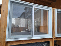 8 double windows 4 w rolled shades