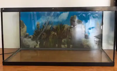 2 reptile tanks OBO , View more