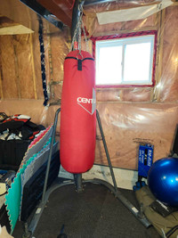 Ringside Boxing Stand and 70lb Century punching bag 