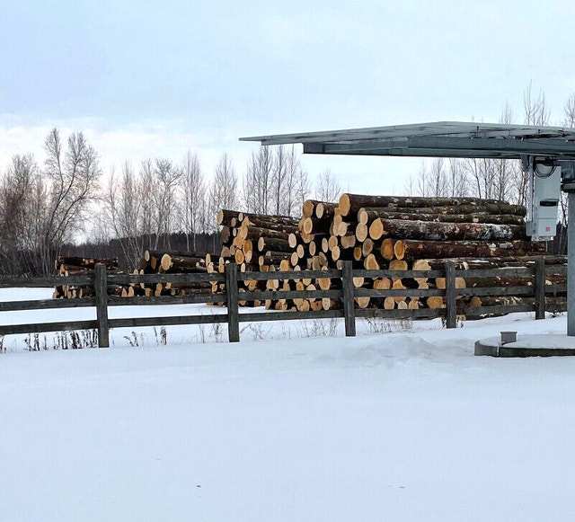 Rough pine boards for sale Outdoor Décor Ottawa Kijiji