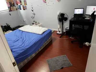 house rent