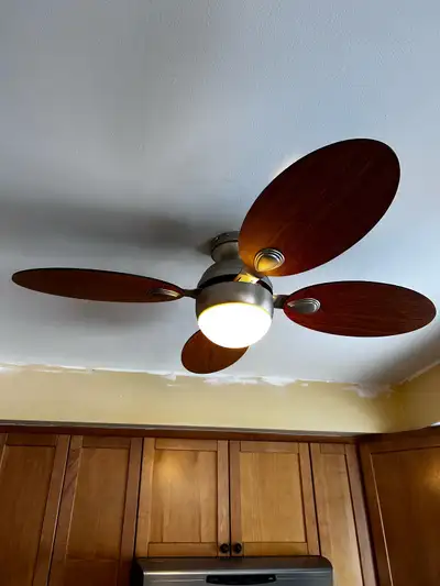 42” Ceiling Fan with light, View more