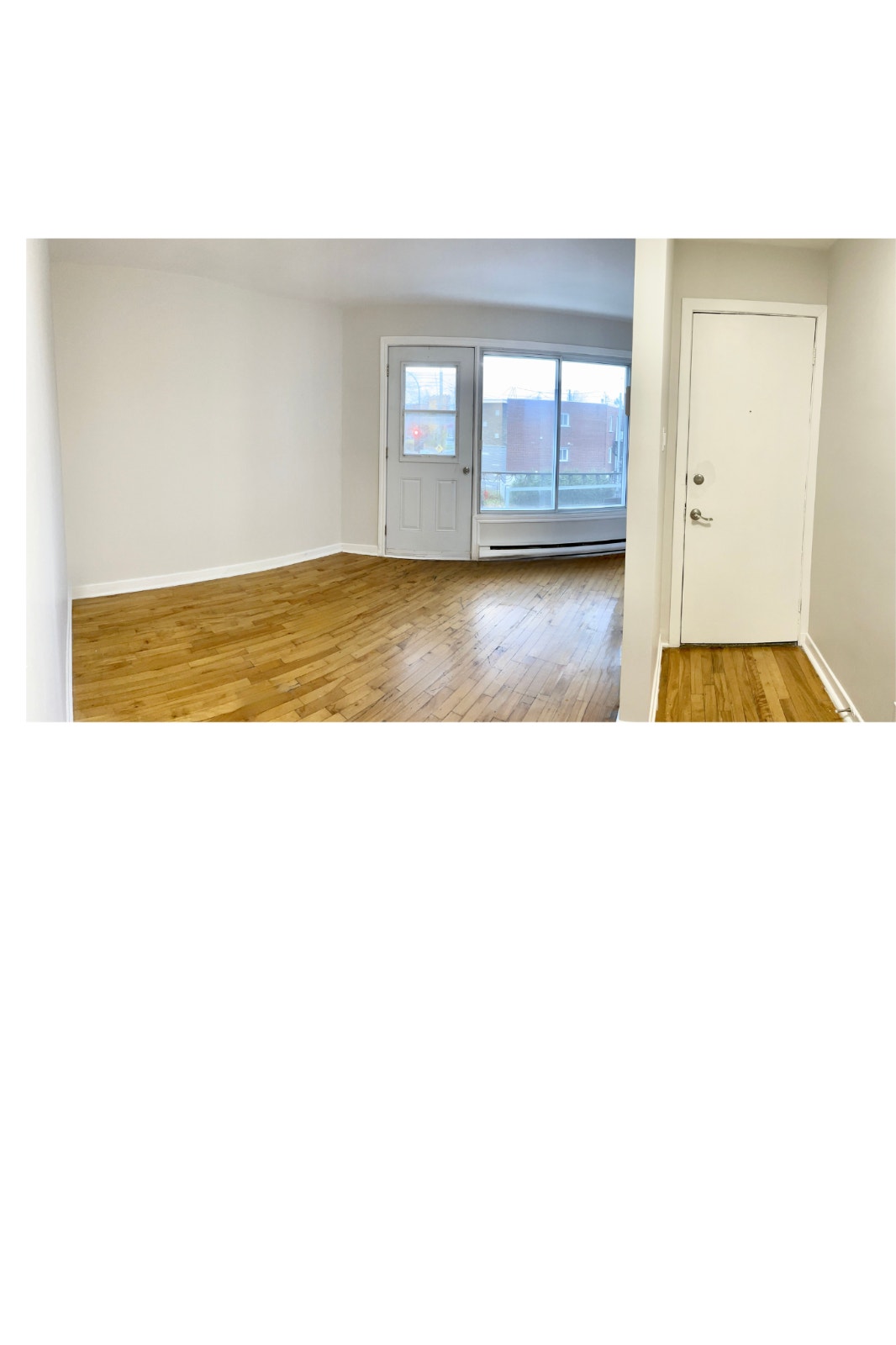 Sunlit 1-Bedroom Apt in LaSalle – Move-In Sept 1st! — photo 1