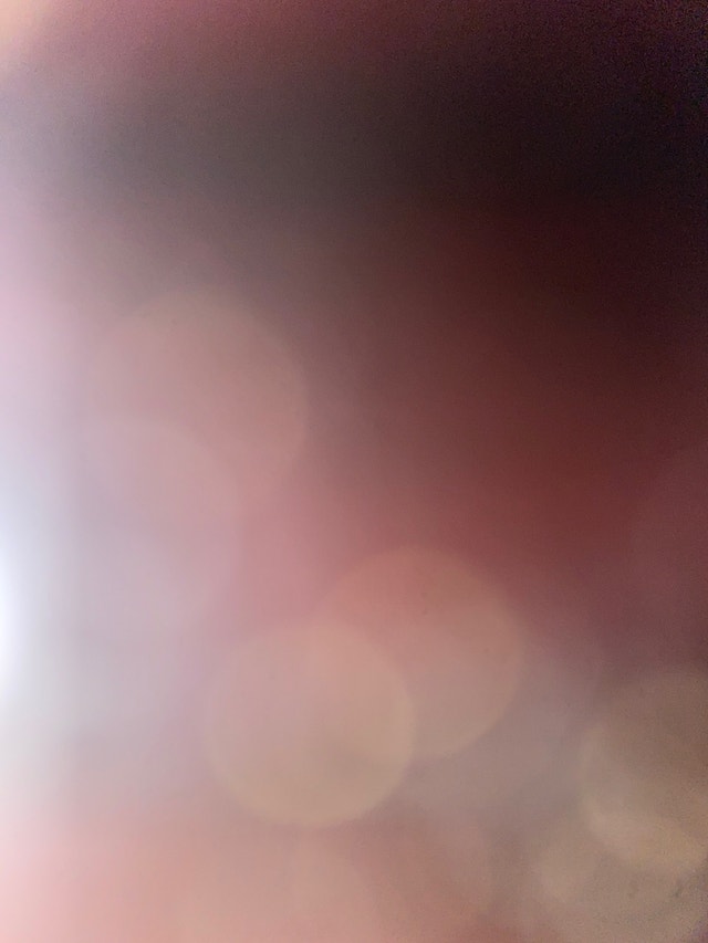 Looking for a whole unit and pet friendly Long Term Rentals