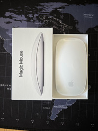 Apple Mouse | Magic mouse