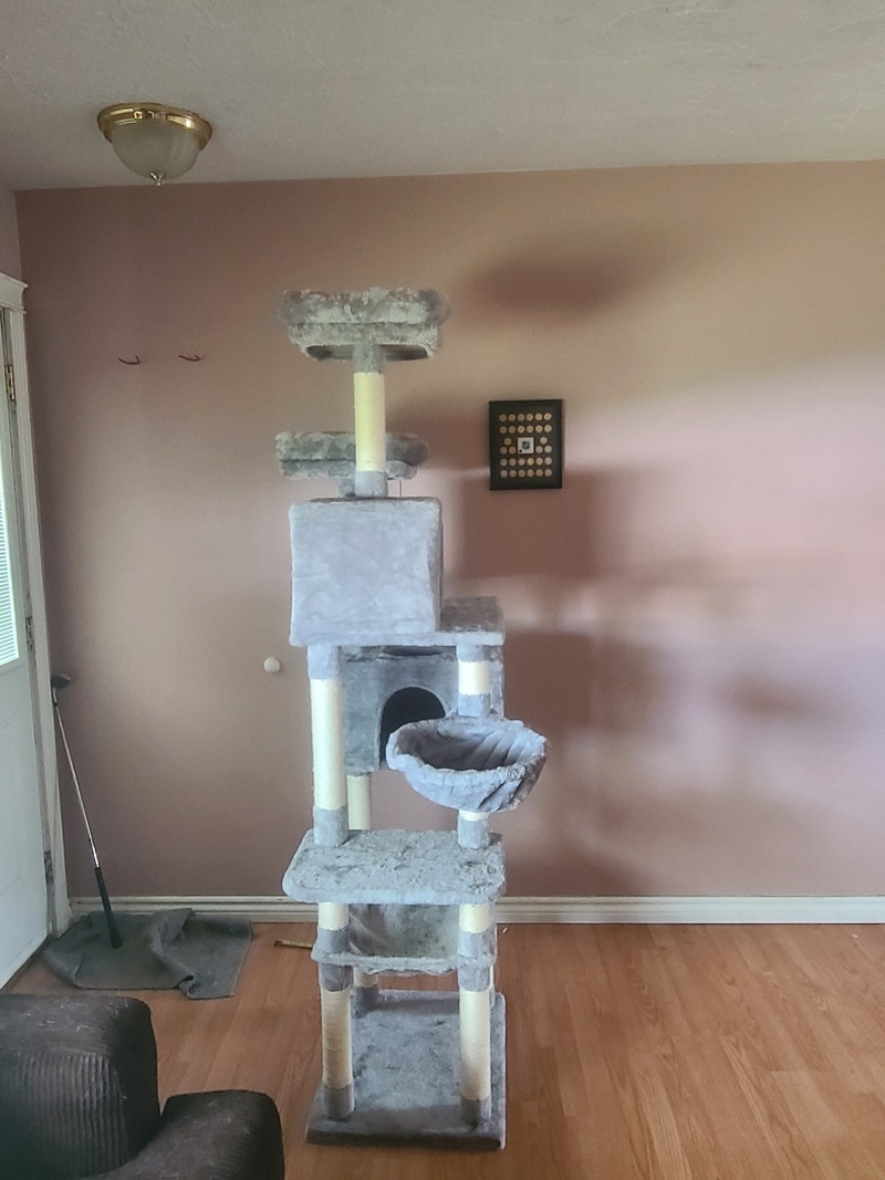 Cat tree Other Edmonton Kijiji
