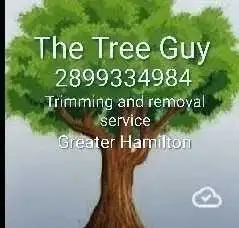 CALL THE TREE GUYS 289-933-4984 GR. Hamilton., View more