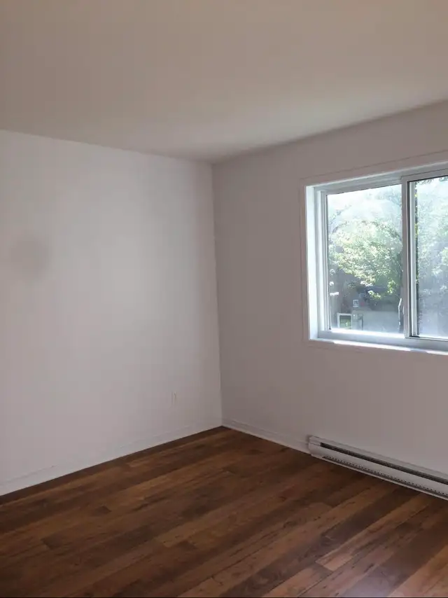 Express Residential Painter 5149499068 573329978960783362
