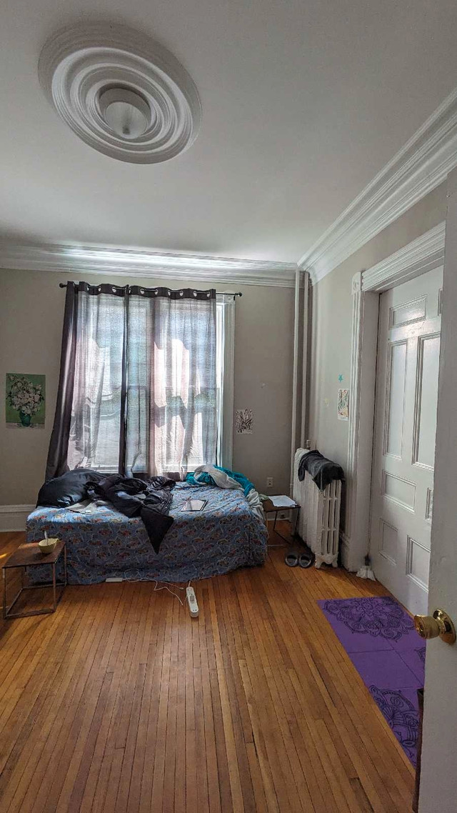 Summer sublet - near dal and downtown in Short Term Rentals in City of Halifax - Image 3