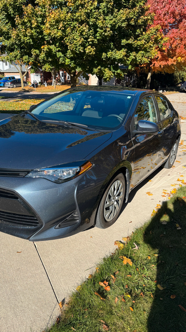 2019 Toyota Corolla LE (67,850kms) in Cars & Trucks in London