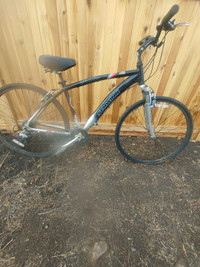 Schwinn ic4 kijiji shop