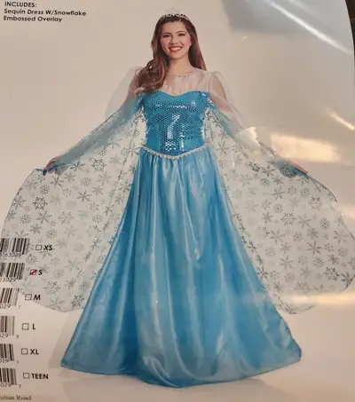 Teen or adult Ice Queen (Elsa from Frozen) Costume Size Small (size 5 to 7) Costume includes sequin...