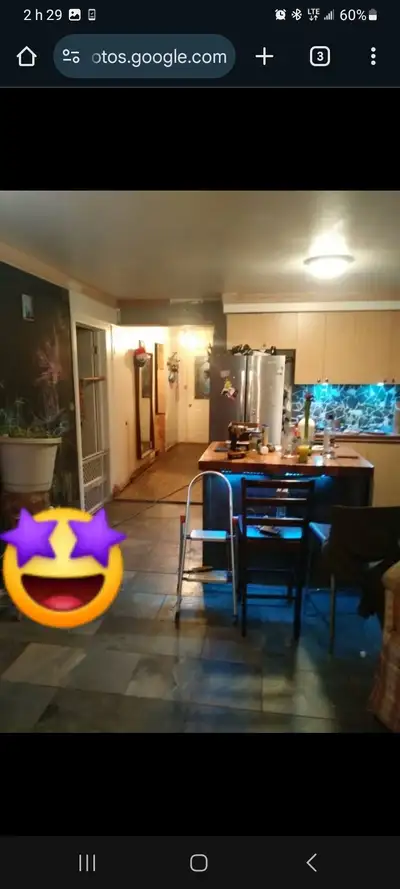 Bonjour jai un grand sous sol avec deux chambre et un petit salon proche de tout les services je cha...