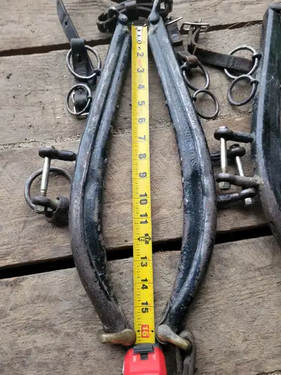 16 in harness hames, View more