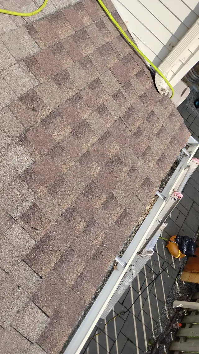clean gutters
