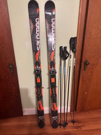 Adult skis