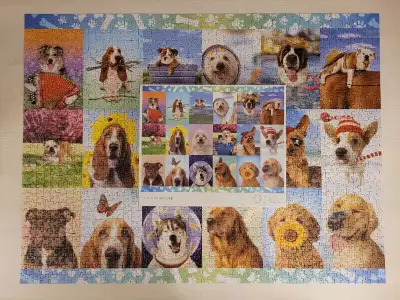 Casse-tête 1500 mcx. Buffalo - Chiens en folie Complet Vient avec une affiche avec image agrandie. J...