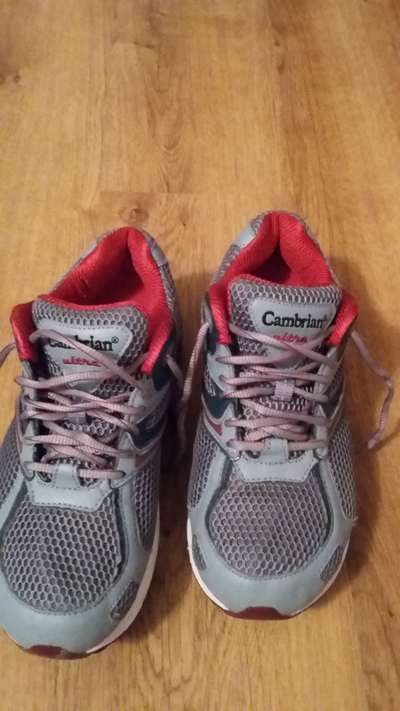 Cambrian Sneakers, View more