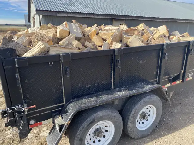 fire wood64750348564482123