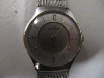 Skagen Denmark Model 233XSGSC Ladies Stainless Steel Watch, View more
