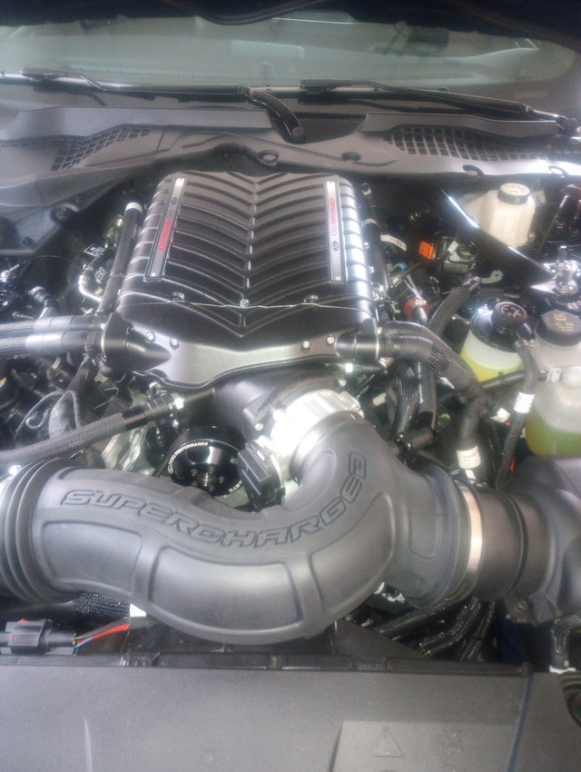 supercharge dark horse in Cars & Trucks in Cornwall - Image 3