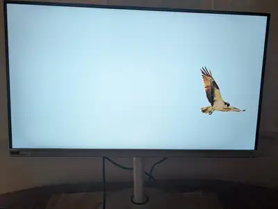 VARIOUS 4K, QHD, HD MONITORS FOR SALE - New Cond. - Barely Used, View more