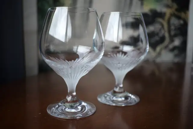 Schott Zwiesel Cut and Frosted Crystal Snifter Glasses62863272670978129