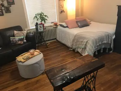 Great studio apartment located in a carefully renovated century home in Owen Sound. Clean, quiet and...