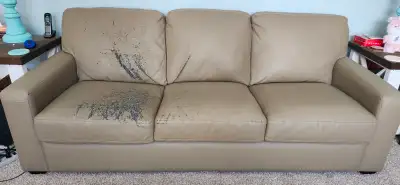 Free Paliser couch, View more