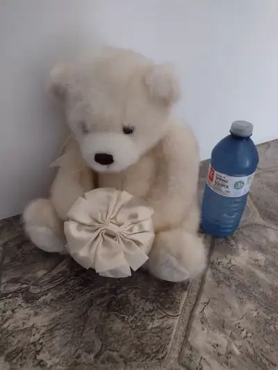 Adorable Teddy Bear holding a container for treats, View more