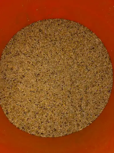 White Canary Seed Mix, View more