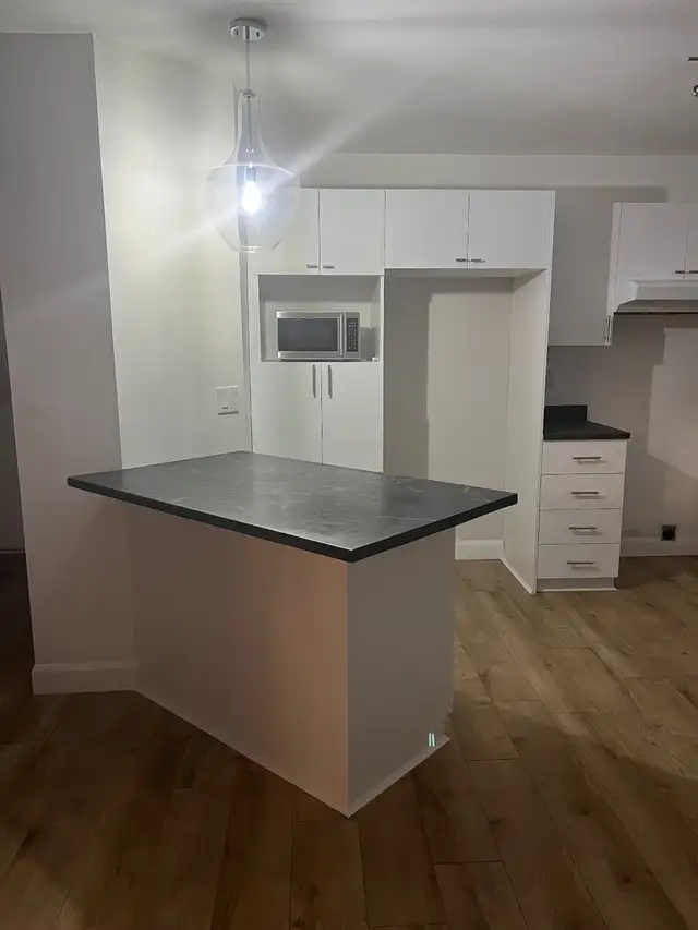 4 1/2 à louer in Long Term Rentals in Saguenay - Image 4